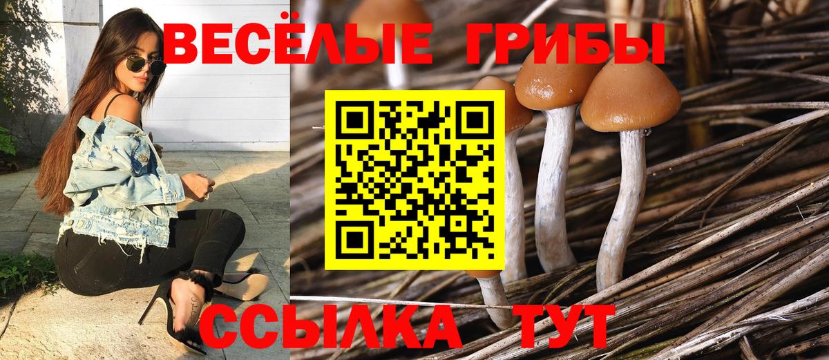 Псилоцибиновые грибы мицелий  Псилоцибиновые грибы прущие грибы  Вход с VPN  наркотики  Наро-Фоминск 